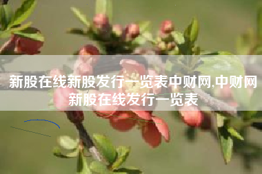新股在线新股发行一览表中财网,中财网新股在线发行一览表