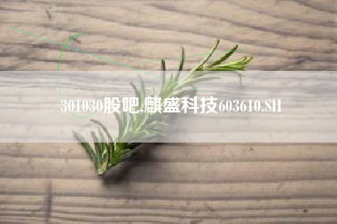 301030股吧,麒盛科技603610.SH