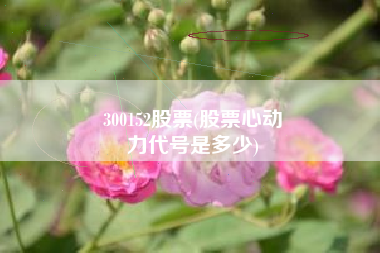 300152股票(股票心动
力代号是多少) 300152股票(股票心动
力代号是多少)