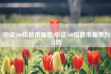 中证500指数市盈率,中证500指数市盈率为25倍