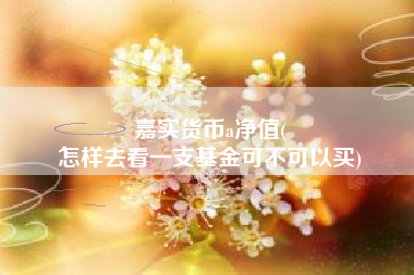 嘉实货币a净值(
怎样去看一支基金可不可以买)