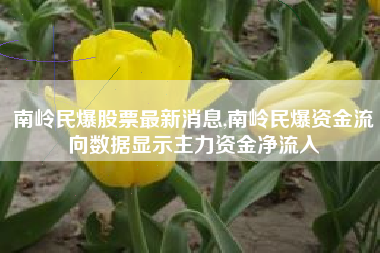 南岭民爆股票最新消息,南岭民爆资金流向数据显示主力资金净流入
