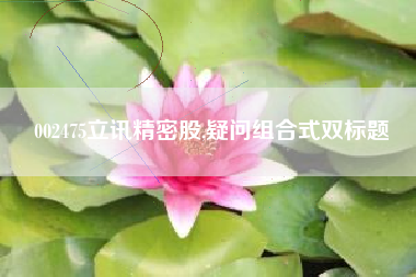 002475立讯精密股,疑问组合式双标题