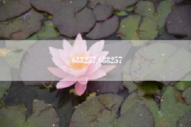 688257,688257