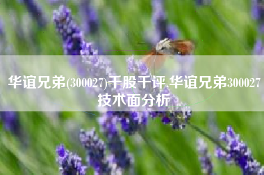 华谊兄弟(300027)千股千评,华谊兄弟300027技术面分析