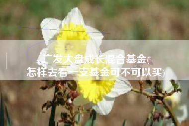 广发大盘成长混合基金(
怎样去看一支基金可不可以买) 广发大盘成长混合基金(
怎样去看一支基金可不可以买)