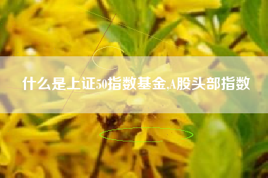 什么是上证50指数基金,A股头部指数