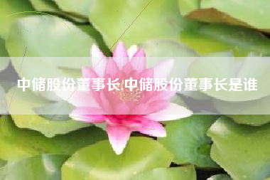 中储股份董事长,中储股份董事长是谁