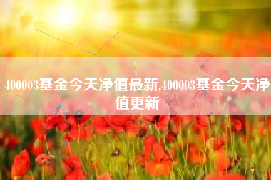 400003基金今天净值最新,400003基金今天净值更新