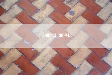 300943,300943