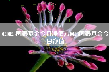020023国泰基金今日净值,020023国泰基金今日净值