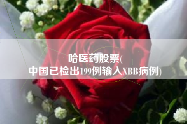 哈医药股票(
中国已检出199例输入XBB病例)