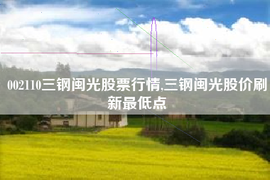 002110三钢闽光股票行情,三钢闽光股价刷新最低点