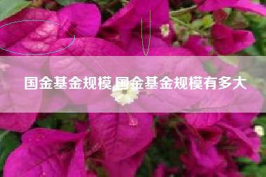 国金基金规模,国金基金规模有多大