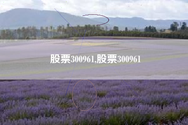 股票300961,股票300961