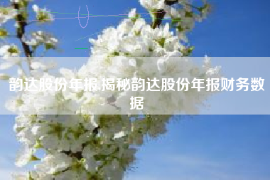 韵达股份年报,揭秘韵达股份年报财务数据