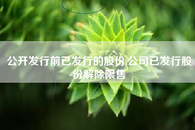 公开发行前已发行的股份,公司已发行股份解除限售