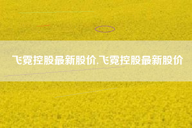 飞霓控股最新股价,飞霓控股最新股价