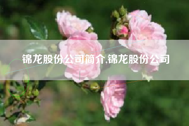 锦龙股份公司简介,锦龙股份公司