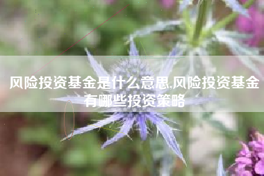 风险投资基金是什么意思,风险投资基金有哪些投资策略