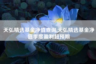 天弘精选基金净值查询,天弘精选基金净值季度盈利超预期