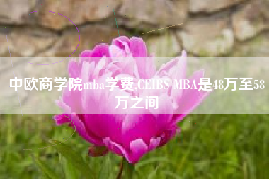 中欧商学院mba学费,CEIBS MBA是48万至58万之间