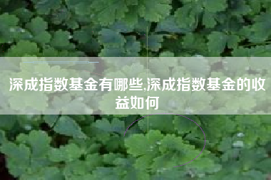 深成指数基金有哪些,深成指数基金的收益如何