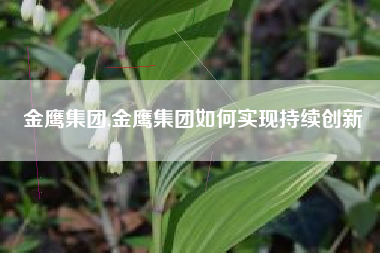 金鹰集团,金鹰集团如何实现持续创新