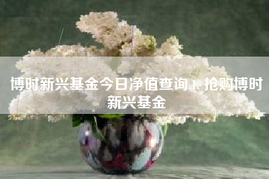 博时新兴基金今日净值查询,1. 抢购博时新兴基金