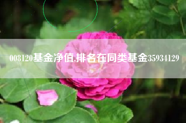 008120基金净值,排名在同类基金35934129