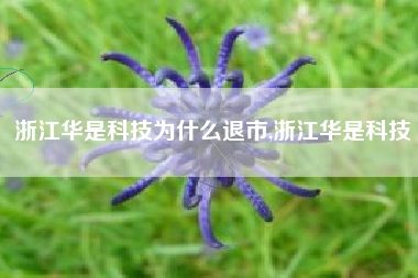 浙江华是科技为什么退市,浙江华是科技