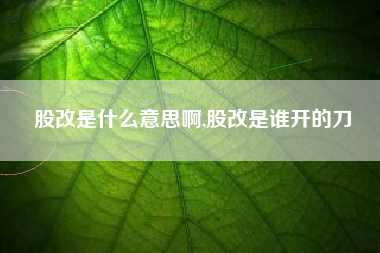 股改是什么意思啊,股改是谁开的刀