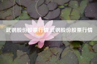 武钢股份股票行情,武钢股份股票行情
