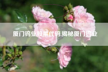 厦门钨业股票代码,揭秘厦门钨业