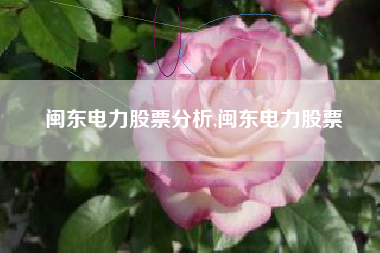 闽东电力股票分析,闽东电力股票