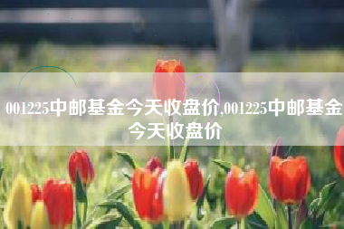001225中邮基金今天收盘价,001225中邮基金今天收盘价