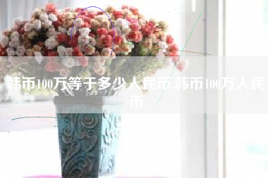 韩币100万等于多少人民币,韩币100万人民币
