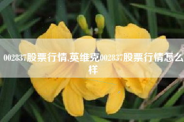002837股票行情,英维克002837股票行情怎么样