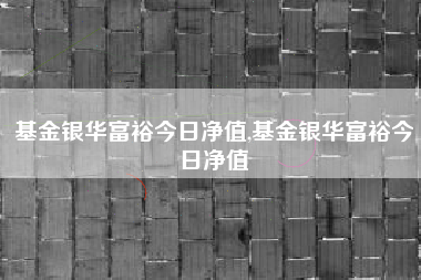 基金银华富裕今日净值,基金银华富裕今日净值