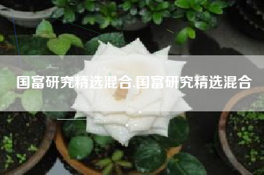 国富研究精选混合,国富研究精选混合