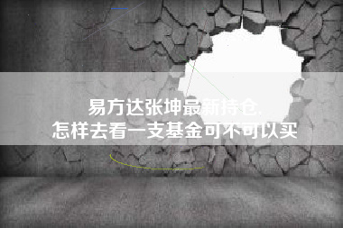 易方达张坤最新持仓,
怎样去看一支基金可不可以买