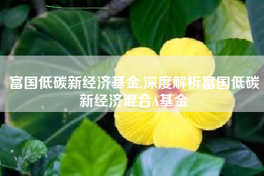 富国低碳新经济基金,深度解析富国低碳新经济混合A基金