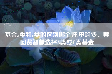 基金a类和c类的区别哪个好,申购费、赎回费智慧选择A类或C类基金