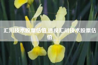 汇川技术股票估值,透视汇川技术股票估值