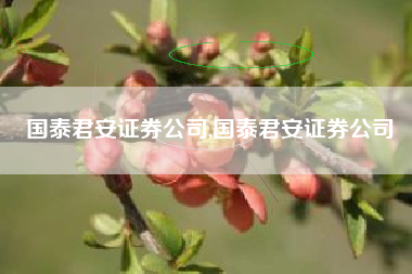 国泰君安证券公司,国泰君安证券公司