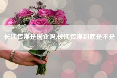 长江传媒是国企吗,长江传媒到底是不是