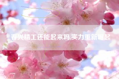 春兴精工还能起来吗,实力重新崛起