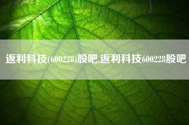 返利科技(600228)股吧,返利科技600228股吧