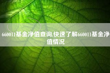 660011基金净值查询,快速了解660011基金净值情况