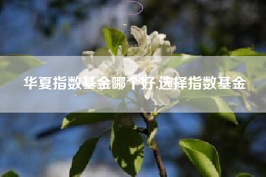 华夏指数基金哪个好,选择指数基金